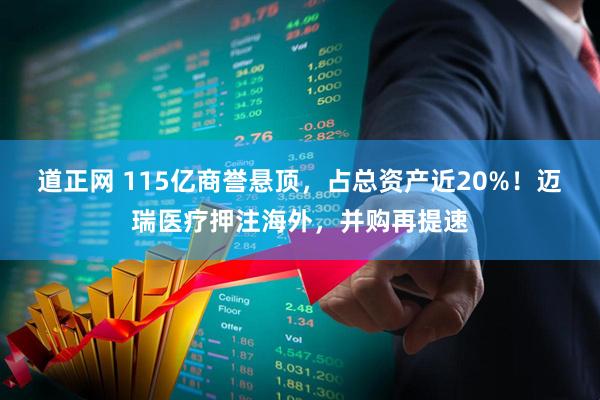 道正网 115亿商誉悬顶，占总资产近20%！迈瑞医疗押注海外，并购再提速