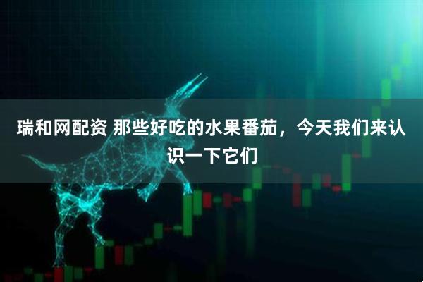 瑞和网配资 那些好吃的水果番茄，今天我们来认识一下它们