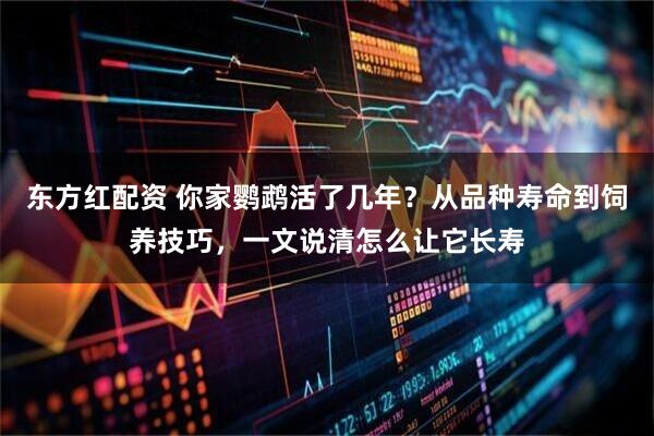 东方红配资 你家鹦鹉活了几年？从品种寿命到饲养技巧，一文说清怎么让它长寿