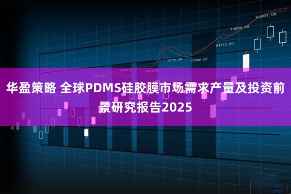 华盈策略 全球PDMS硅胶膜市场需求产量及投资前景研究报告2025